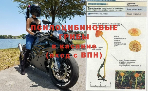 винт Алексин