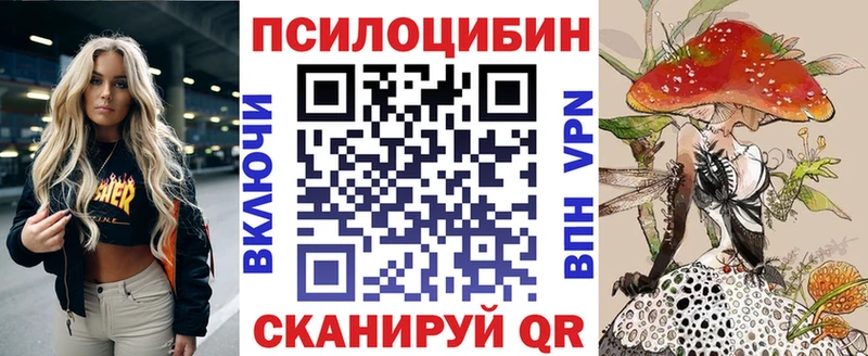 закладка Железноводск мега ТОР Псилоцибиновые грибы Psilocybine cubensis
